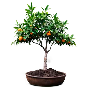 Minimalist Orange Tree PNG Bol33 PNG