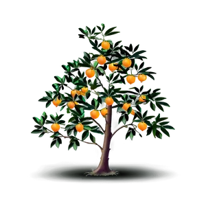 Minimalist Orange Tree PNG Knu57 PNG