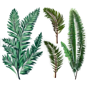 Minimalist Palm Leaves PNG 94