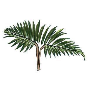Minimalist Palm Leaves PNG Het96