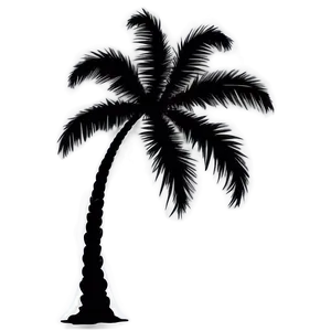 Minimalist Palm Silhouette PNG 06262024 PNG