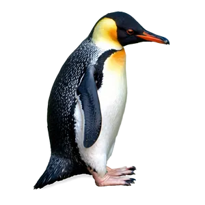 Minimalist Penguin Png 05062024 PNG image