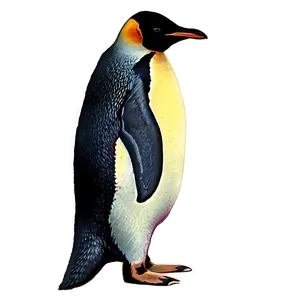Minimalist Penguin PNG Tme72