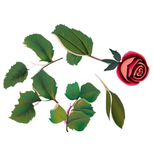 Minimalist Rose PNG 06202024 PNG