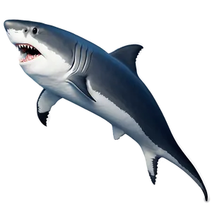 Minimalist Shark Design Png 40 PNG image