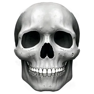 Minimalist Skull Face Outline Png 06272024 PNG image