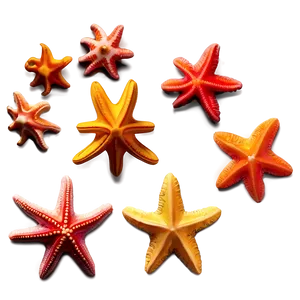 Minimalist Starfish PNG Ocl3
