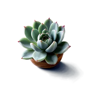 Minimalist Succulent Png 7 PNG image