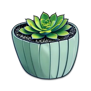 Minimalist Succulent Png Jvw55 PNG image