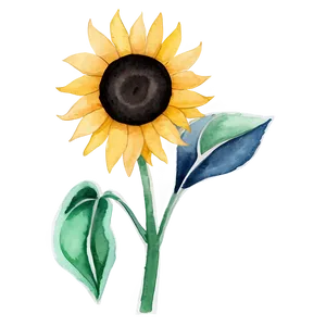 Minimalist Sunflower Watercolor Art PNG 99 PNG