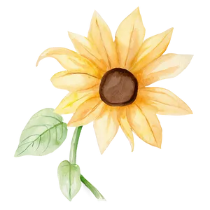 Minimalist Sunflower Watercolor Art PNG Baq33 PNG