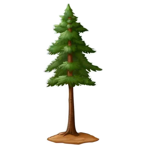 Minimalist Tree Elevation PNG 06262024