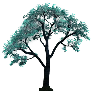 Minimalist Tree Top View PNG Jaq
