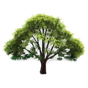 Minimalist Tree Top View PNG Qub