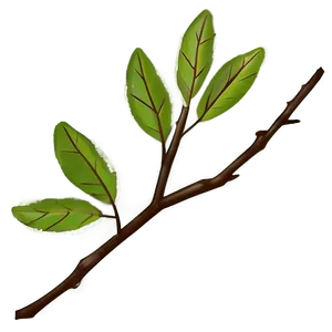 Minimalist Twig PNG 42
