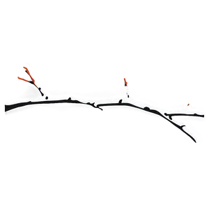 Minimalist Twig PNG 6