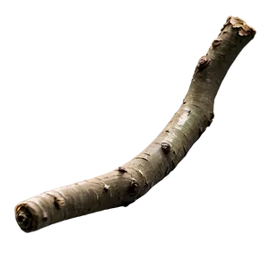 Minimalist Twig PNG Fpb