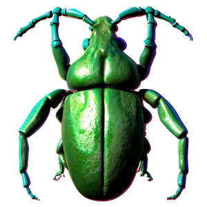 Minimalist Weevil Profile Png 93 PNG image