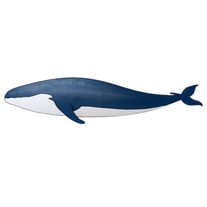 Minimalist Whale Png Bvh PNG image