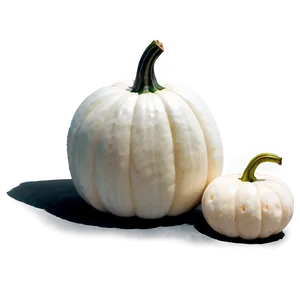 Minimalist White Pumpkin PNG 06212024