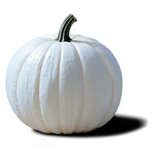 Minimalist White Pumpkin PNG 87