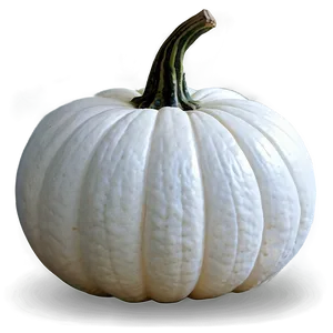 Minimalist White Pumpkin PNG Hsu PNG