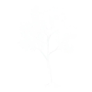 Minimalist White Tree Drawing PNG 92