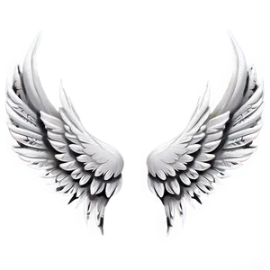 Minimalist White Wings PNG Hve PNG