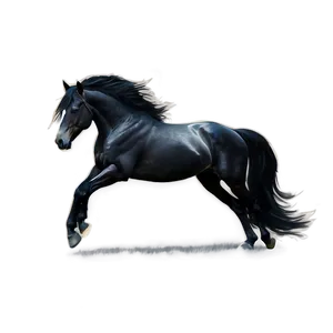 Minimalistic Black Horse Sketch PNG Sly