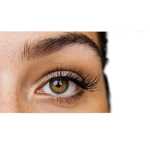 Mink Eyelash Extensions Png 87 PNG image