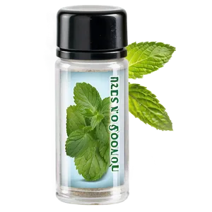 Mint Leaf Seasoning PNG Tcj