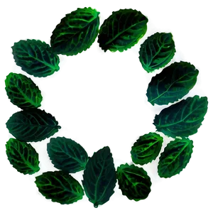 Mint Leaf Silhouette PNG 48 PNG