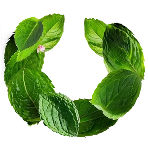 Mint Leaves Decoration PNG Eyw PNG
