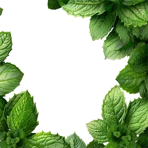 Mint Leaves Frame PNG 64 PNG