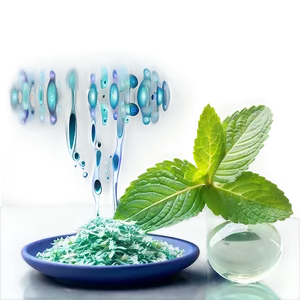 Mint Leaves Infusion PNG 4 PNG