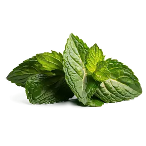 Mint Leaves Isolated Png 06262024 PNG image