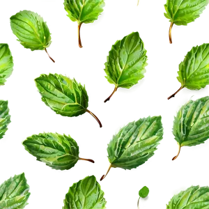 Mint Leaves Vector PNG Ope