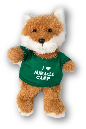 Miracle Camp Love Teddy Bear PNG image