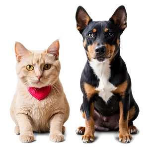 Mischievous Dog And Cat Png 7 PNG image