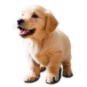 Mischievous Golden Retriever Puppy PNG 06252024 PNG