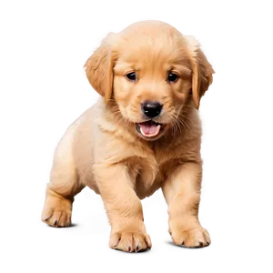 Mischievous Golden Retriever Puppy PNG 3