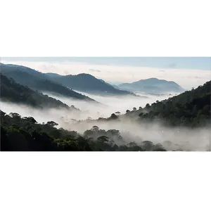 Mist Covered Hills PNG 05242024 PNG