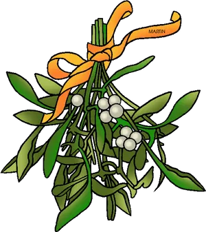 Mistletoe Bunch With Orange Ribbon PNG