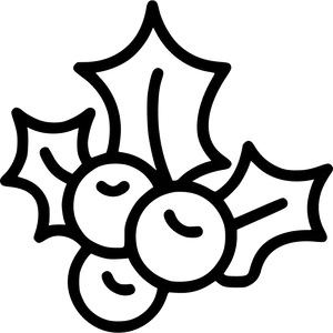 Mistletoe Outline Graphic PNG