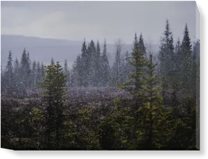 Misty Forest Snowfall PNG image