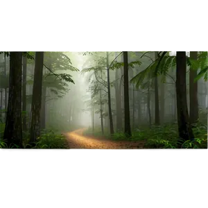 Misty Forest Trail Png Dag13 PNG image