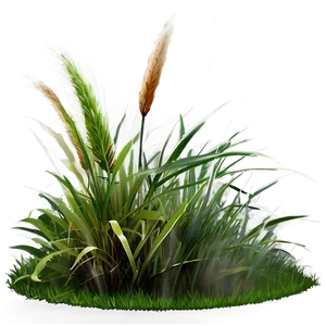 Misty Morning Grass Png 33 PNG image