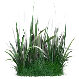 Misty Morning Grass Png 45 PNG image