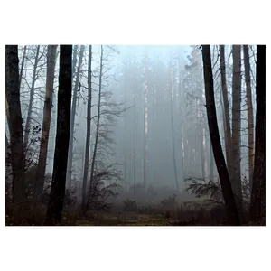 Misty Morning Overlay PNG 06282024 PNG