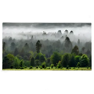 Misty Treeline Landscape Png Qlf PNG image